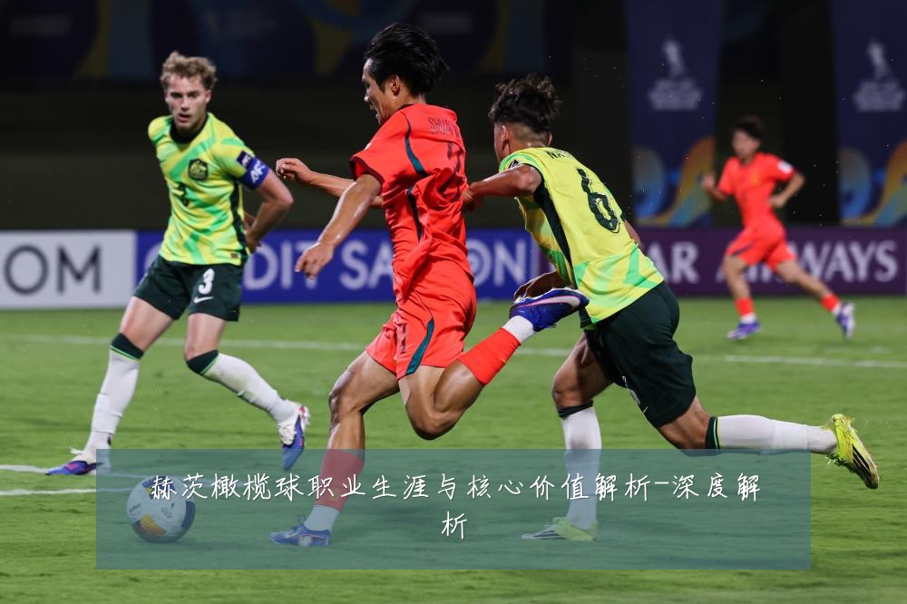 赫茨橄榄球职业生涯与核心价值解析-深度解析
